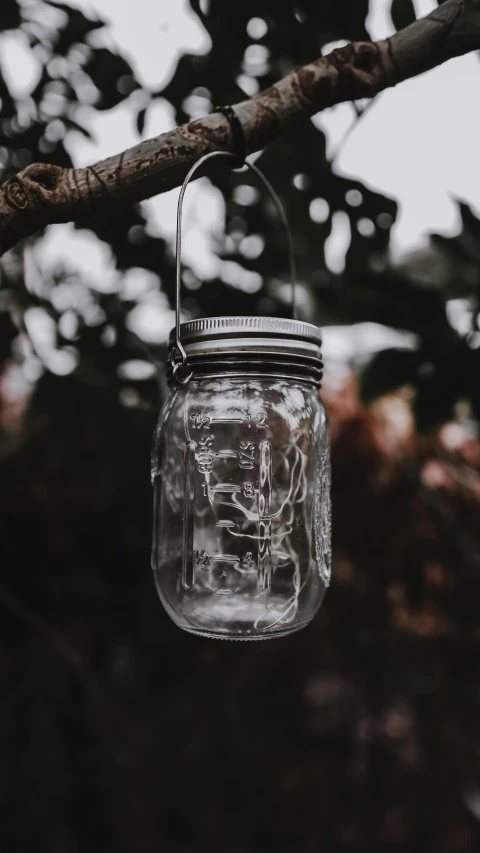 a mason jar hanging from a tree branch, by Julian Allen, pexels contest winner, on grey background, outdoor lighting, in the garden, teaser