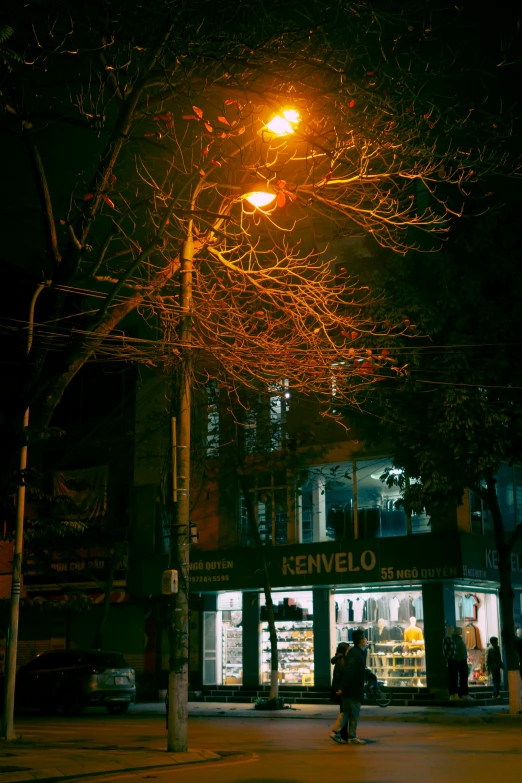 a couple of people walking down a street at night, branches, tehran, storefront, cold light
