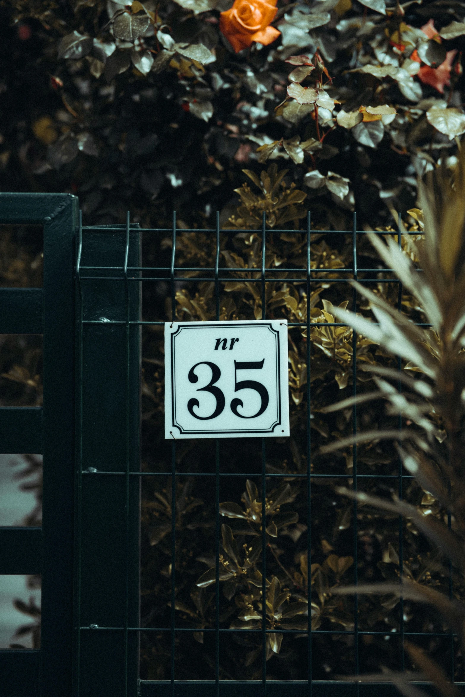 a sign that is on the side of a fence, a screenshot, by Niko Henrichon, unsplash, art nouveau, he is 3 5 years old, mansion, number 31!!!!!, hedge