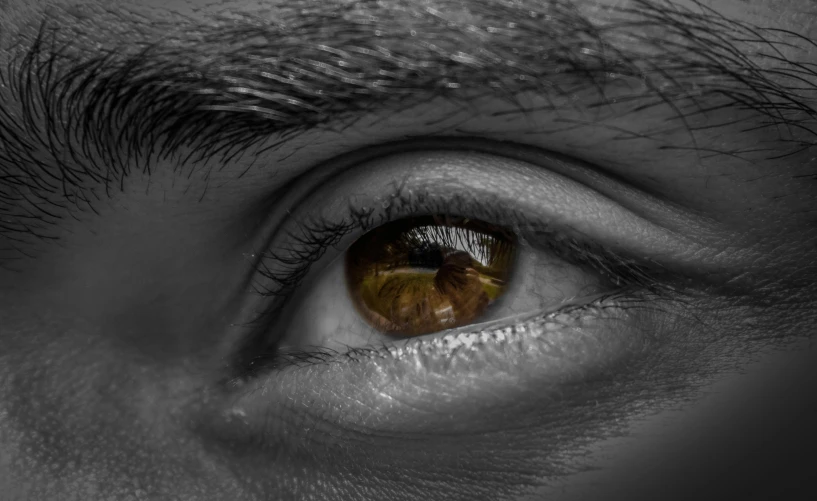 a close up of a person's eye, a black and white photo, pexels, his eyes glowing yellow, deep brown eyes, concentrated look, looking outside