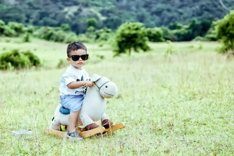a young boy riding a rocking horse in a field, pexels contest winner, sunglasses, thumbnail, 1 2 9 7, multi - layer