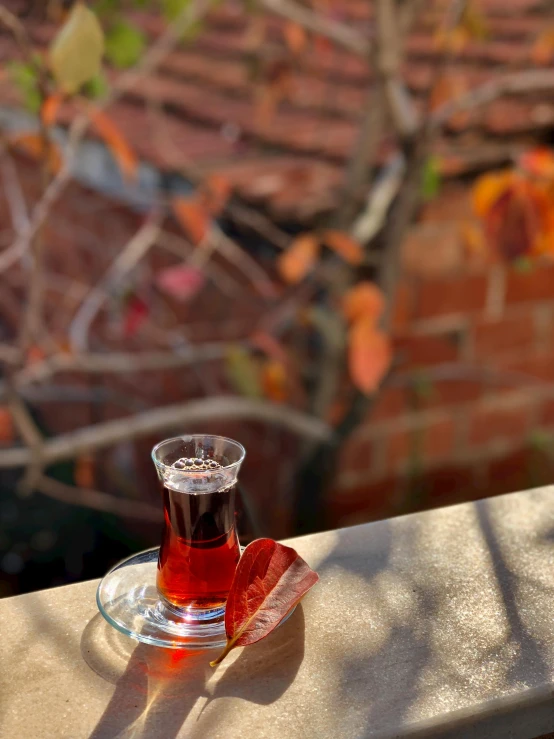 a glass of tea sitting on top of a wooden table, by Jessie Algie, hurufiyya, in the autumn, slide show, maroon, surrounding the city