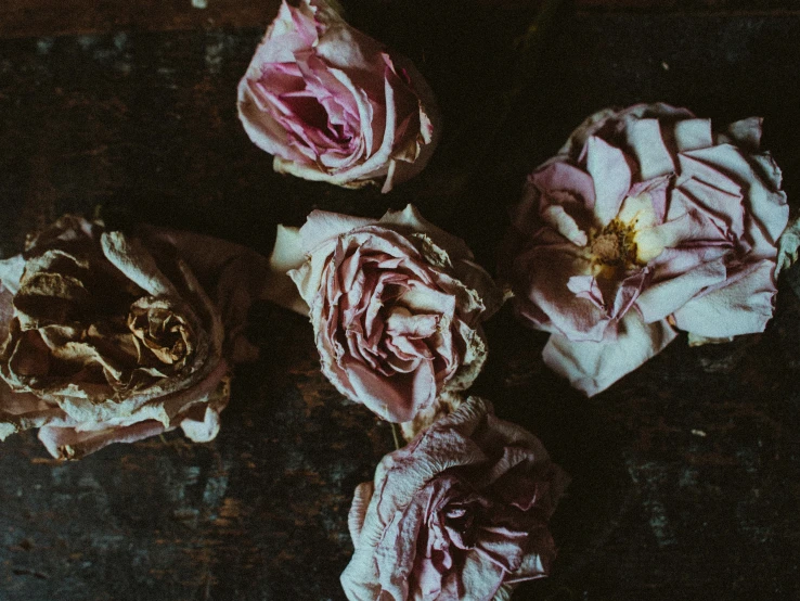a bunch of flowers sitting on top of a wooden table, by Lucia Peka, pexels contest winner, process art, dry skin, roses, dark hues, sydney hanson