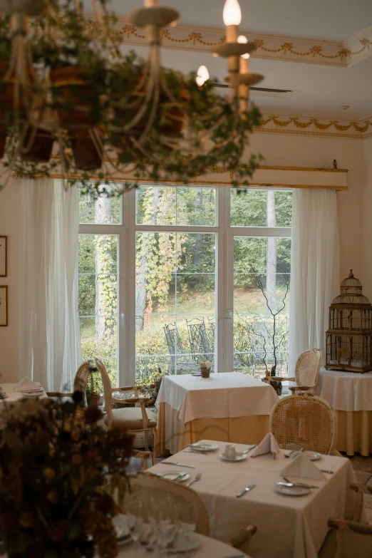 a dining room filled with lots of tables and chairs, a portrait, unsplash, rococo, nature outside, white and gold color scheme, window view, woodland location