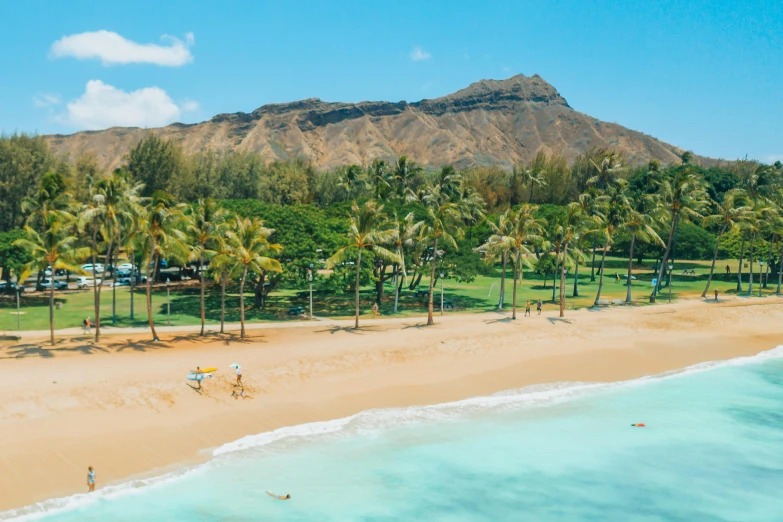 a beach with palm trees and a mountain in the background, flatlay, hawaii beach, resort, sports illustrated