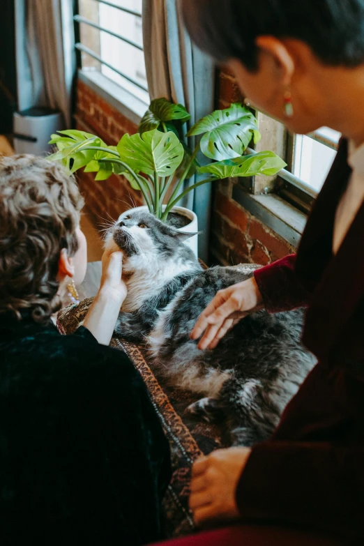 a woman sitting on a couch petting a dog, a photo, by Winona Nelson, trending on unsplash, renaissance, cats and plants, wearing silver silk robe, meeting of the cats, in an urban setting