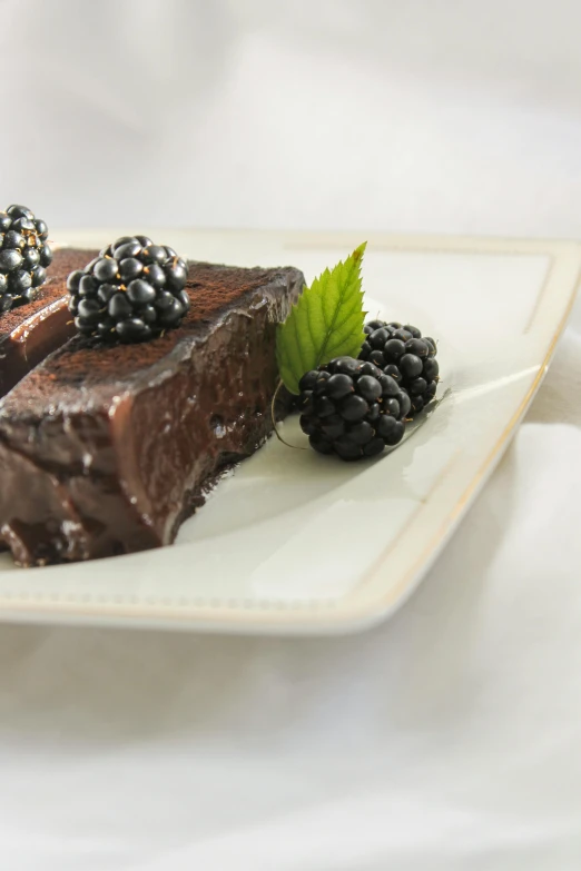 a piece of chocolate cake with blackberries on a plate, inspired by Rudolf von Alt, renaissance, square, tall, polished, 6 4 0