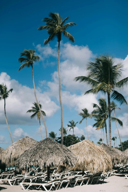 a bunch of chairs sitting on top of a sandy beach, coconut trees, village, february)