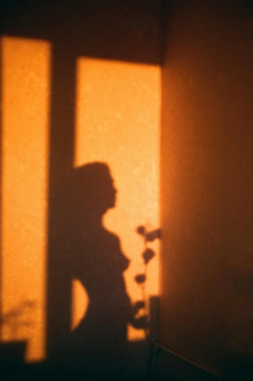 a shadow of a woman holding a flower, inspired by Nan Goldin, conceptual art, orange tones, 35mm 1990, silhouette :7, pinhole