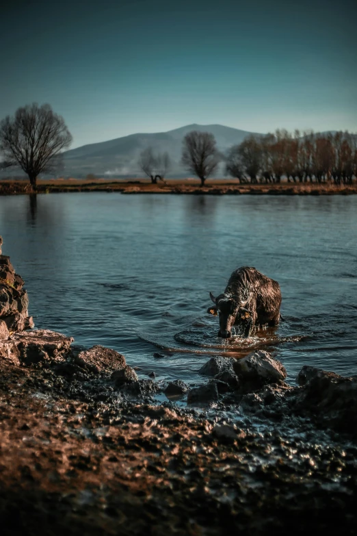 a body of water that has some rocks in it, by Slava Raškaj, pexels contest winner, romanticism, willow tree and hill, hell in the background, cinematic realistic photo, sport