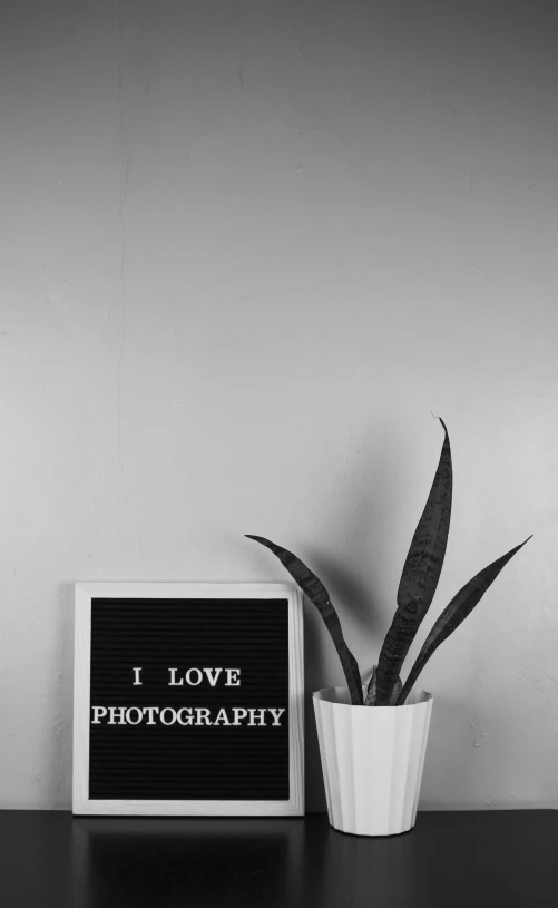 a sign that says i love photography next to a potted plant, a black and white photo, grey backdrop, advertisement photography, - i, indoor picture