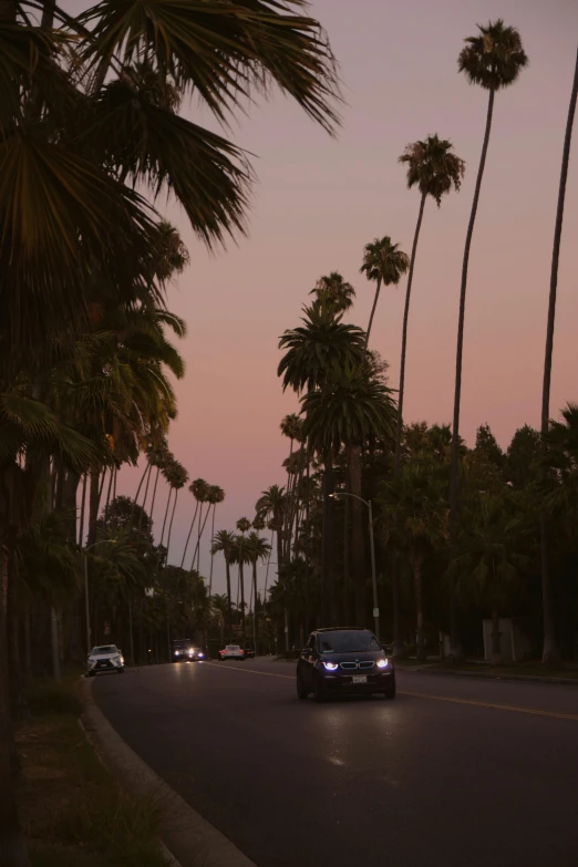 a car driving down a street next to tall palm trees, an album cover, unsplash, twilight ; wide shot, hollywood, humid evening, low quality photo