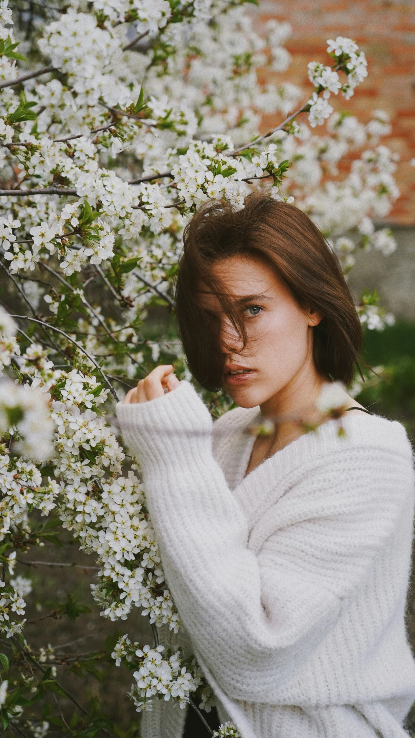 a woman standing in front of a flowering tree, inspired by Elsa Bleda, trending on unsplash, white sweater, with brown hair, medium format, attractive photo