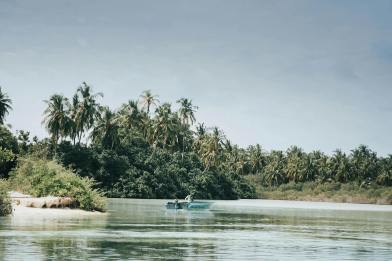 a boat in the middle of a body of water, pexels contest winner, sumatraism, palm trees in the background, thomas river, style of castaway ( film ), new zeeland