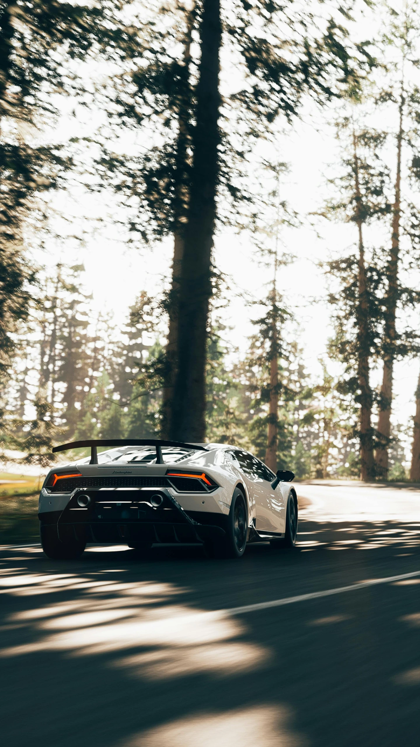 a white sports car driving down a forest road, inspired by Harry Haenigsen, unsplash, renaissance, lamborghini, medium shot angle, rear-shot, afternoon hangout