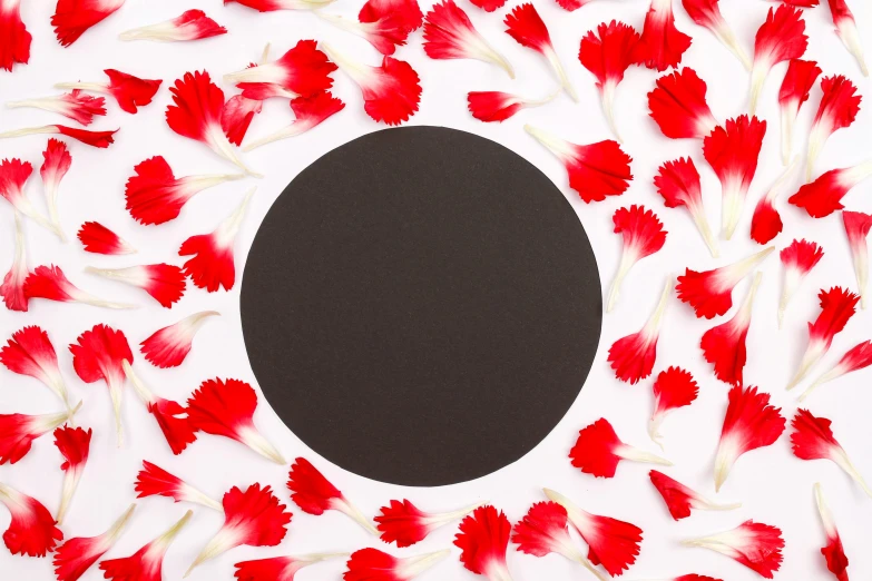 a black circle surrounded by red and white flowers, inspired by Anish Kapoor, shutterstock contest winner, all black matte product, blackboard, mat drawing paper, circle pit