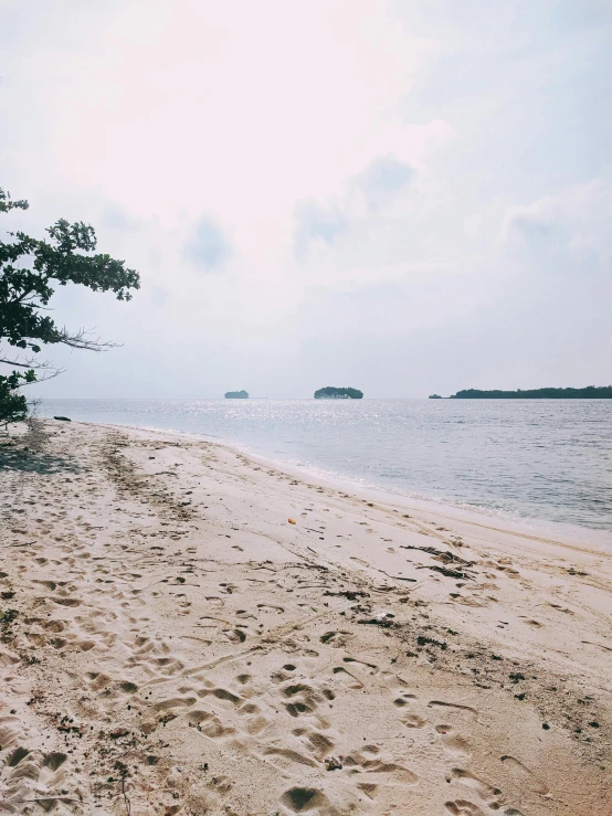 a sandy beach with footprints in the sand, unsplash, sumatraism, two medium sized islands, low quality photo, trees around, shot on iphone