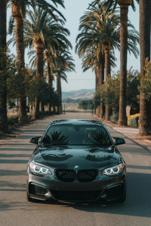 a black bmw parked on the side of a road, pexels contest winner, renaissance, palm trees in the background, 4k symmetrical portrait, napa, low quality photo