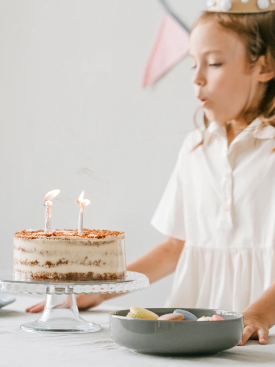 a little girl blowing out candles on a cake, by Nicolette Macnamara, trending on unsplash, visual art, white, standing upright, profile image, brown