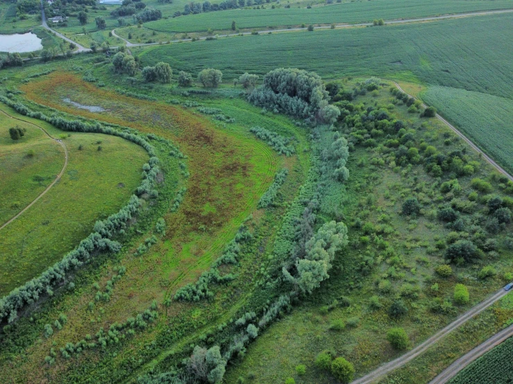 an aerial view of a river running through a lush green field, by Adam Marczyński, land art, tall grown reed on riverbank, photo from the dig site, thumbnail, covered with vegetation