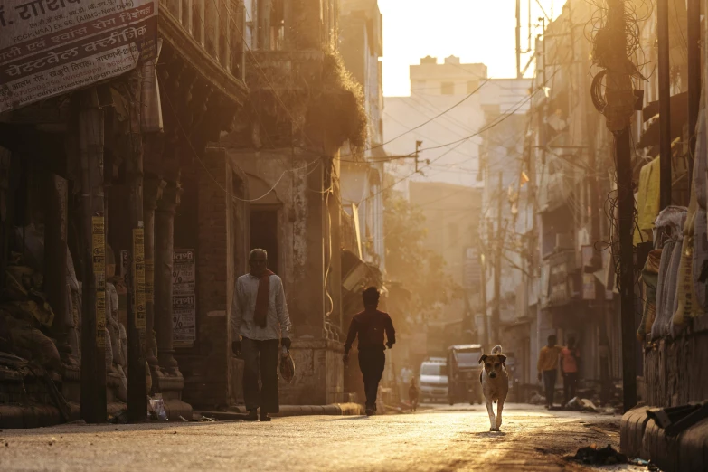 a person walking a dog down a city street, a picture, india, warm sunlight shining in, in a ruined cityscape, anthropology photo”