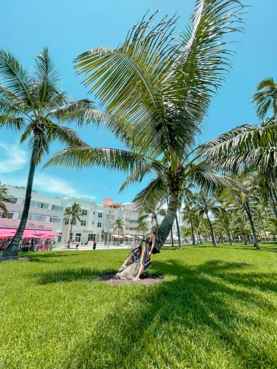 a couple of palm trees sitting on top of a lush green field, south beach colors, 👰 🏇 ❌ 🍃, art deco buildings, multiple stories