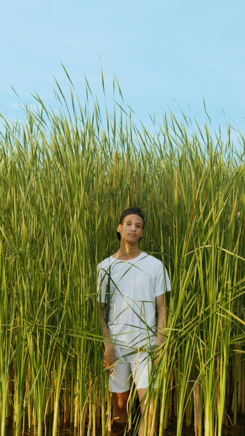 a man standing in a field of tall grass, an album cover, inspired by Ren Hang, pexels, portrait willow smith, lake view, teenage boy, bella poarch