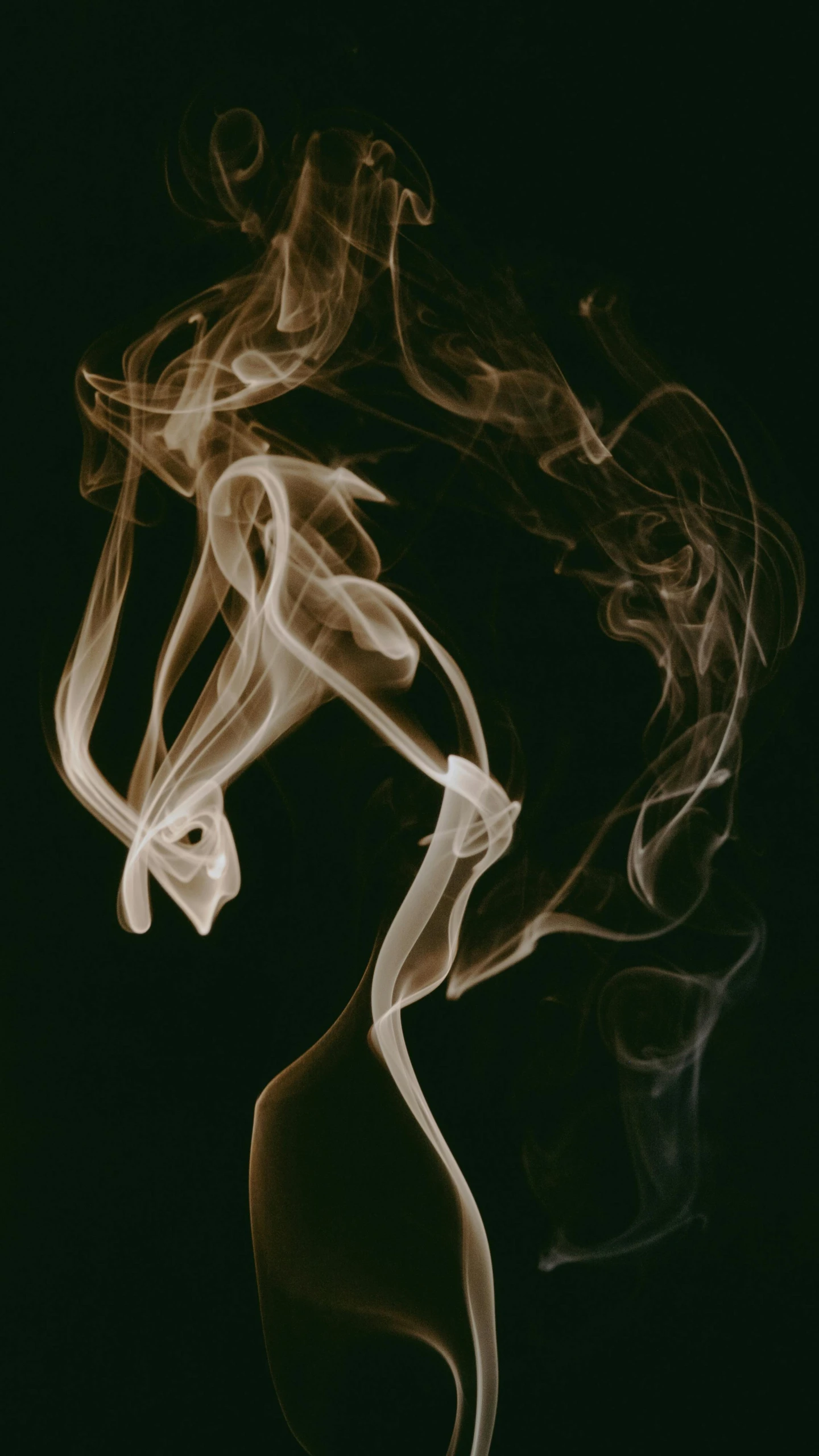 a close up of smoke on a black background, an album cover, inspired by Elsa Bleda, pexels, abstract illusionism, praying with tobacco, instagram post, diffuse outline, joints