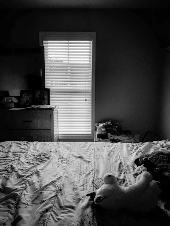 a black and white photo of a teddy bear on a bed, a black and white photo, by Adam Chmielowski, night. by greg rutkowski, chaotic teenage bedroom, a sunny bedroom, phone photo