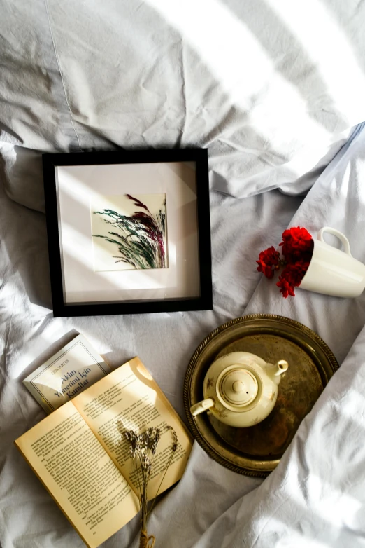 an open book sitting on top of a bed next to a cup of coffee, inspired by Henriette Wyeth, visual art, willowy frame, velvet art, dried herbs, couple on bed