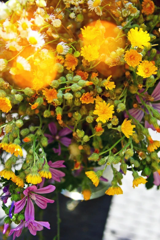 a vase filled with yellow and purple flowers, vanitas, sunshine rays, close look, herbs and flowers, most popular