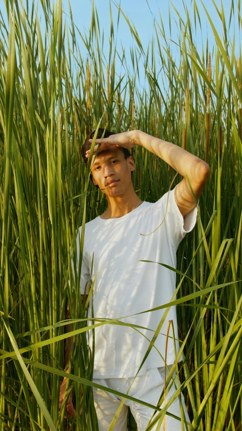 a man standing in a field of tall grass, an album cover, pexels, dressed in a white t-shirt, flume, modeling shoot, ignant