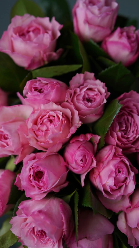 a vase filled with pink roses sitting on a table, striking colour, zoomed in, peony, fully covered