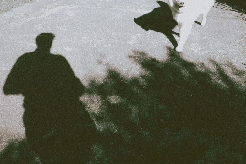 a man flying through the air while riding a skateboard, pexels contest winner, tonalism, shadow polaroid photo, two figures, eerie spiritual grainy, album cover art