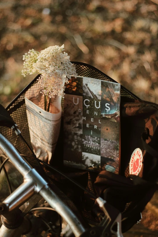 a bicycle with a basket full of flowers and a book, by Lucia Peka, pexels contest winner, purism, close up of lain iwakura, focus on card, magazine cover, fungal pages