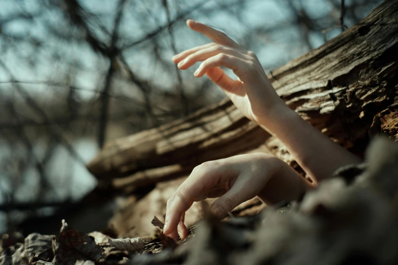 a person reaching for something in the woods, an album cover, inspired by Elsa Bleda, pexels contest winner, surrealism, long fingernails, driftwood, porcelain pale skin, medium format. soft light