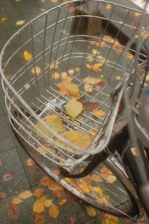 a bicycle with a basket full of leaves, pexels contest winner, photorealism, deserted shinjuku junk, low quality footage, 🍁 cute, shopping cart