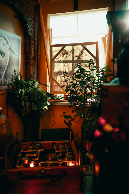 a living room filled with potted plants and candles, a painting, pexels contest winner, cold light from the window, soviet interior, flower shop scene, shot at golden hour