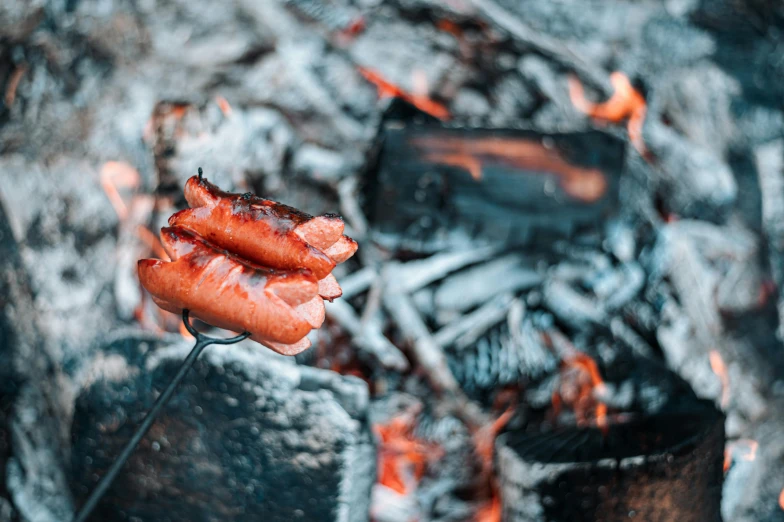 a bunch of hot dogs that are on a stick, by Emma Andijewska, pexels contest winner, bright orange camp fire, thumbnail, “ iron bark, 3 5 mm photo