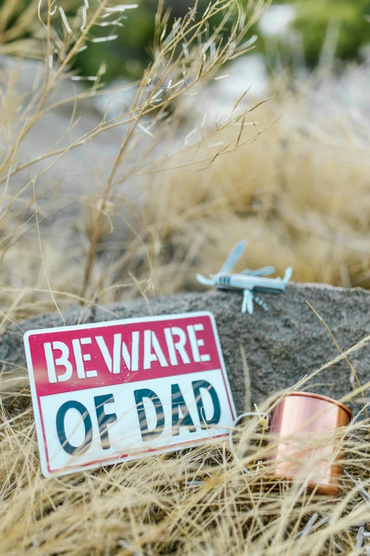 a beware of dad sign sitting in the grass, by Gwen Barnard, unsplash, thundra ufo crash site, mini model, moab, promo image