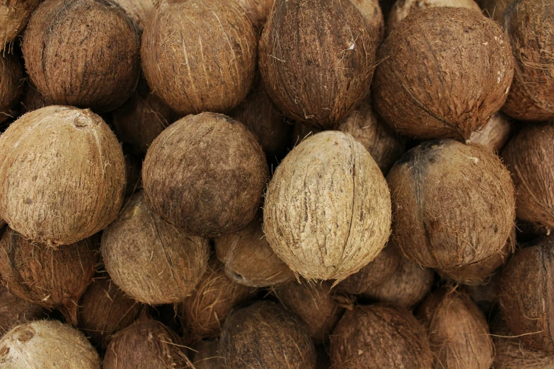 a pile of coconuts sitting on top of each other, unsplash, walnuts, thumbnail, digital image, detailed zoom photo