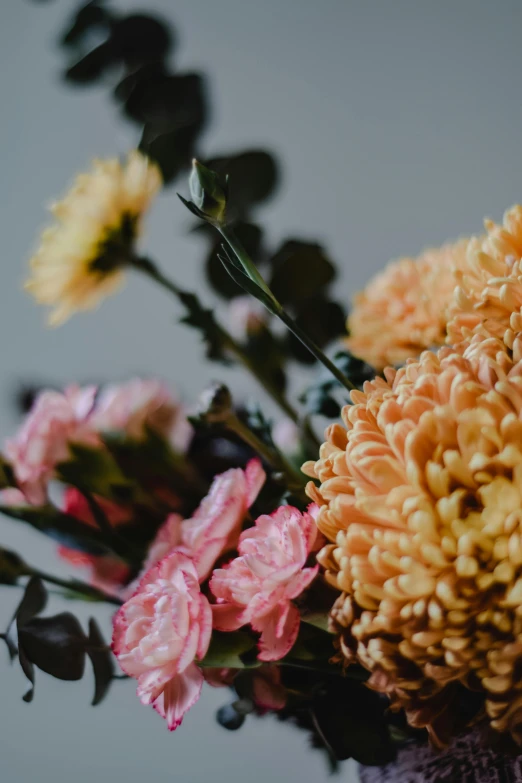 a close up of a bunch of flowers in a vase, a still life, unsplash, deeply hyperdetailed, chrysanthemums, detailed product shot, half image