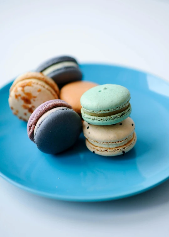 a blue plate topped with macarons on top of a white table, grain”, various sizes, porcelain skin ”