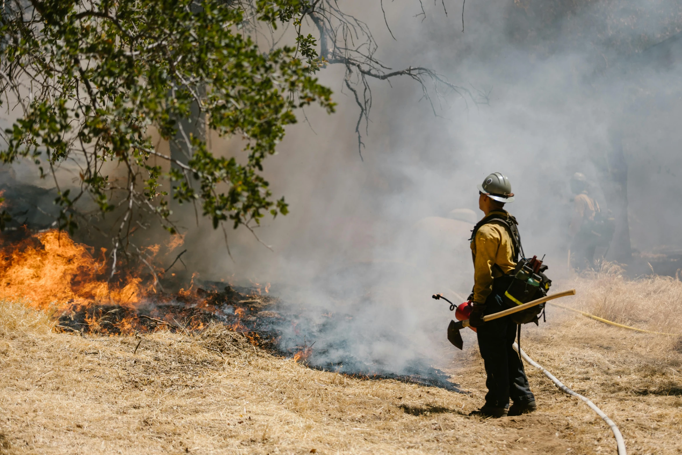 a firefighter standing in a field with a hose, by William Berra, unsplash, talking around a fire, avatar image