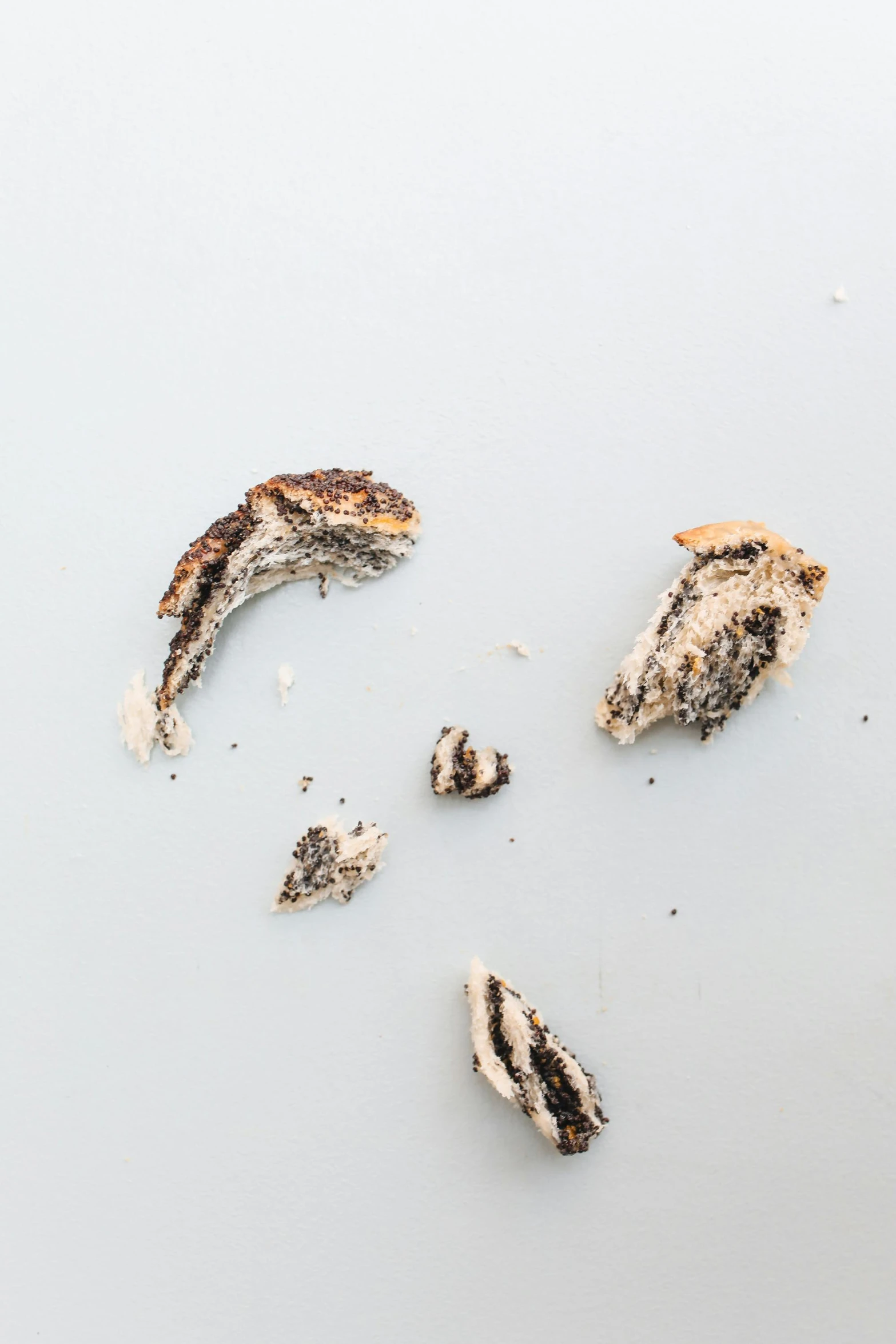 a couple of pieces of food sitting on top of a table, a microscopic photo, by Sven Erixson, rotting, white with black spots, on a pale background, shot on sony a 7 iii