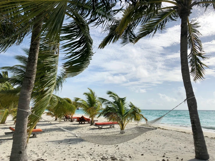 a hammock between two palm trees on a beach, by Carey Morris, pexels contest winner, carribean white sand, cozy setting, various posed, conde nast traveler photo