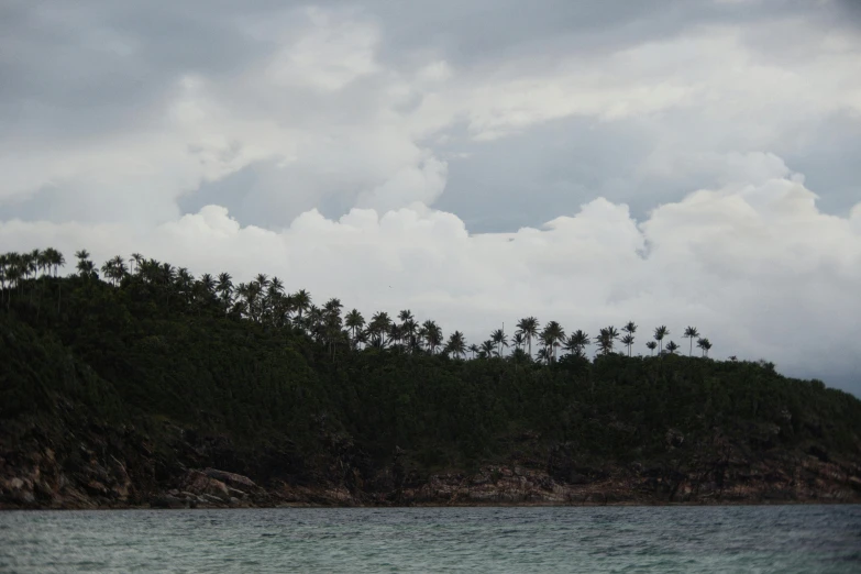 a person riding a surfboard on top of a body of water, a picture, coconut trees, overcast skies, many islands, pine forests