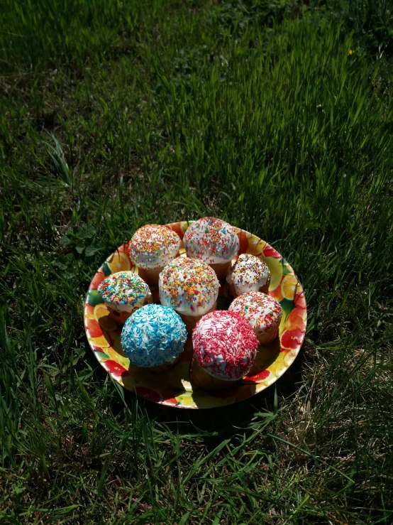 a plate of cupcakes sitting in the grass, by Jan Rustem, process art, spheres, 120 degree view, sprinkles, joel sternfeld