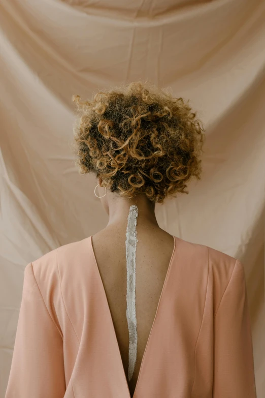 the back of a woman wearing a pink dress, by Sara Saftleven, curly afro, her hair pinned up, side portrait imagery, cramel hair