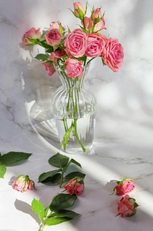 a vase filled with pink roses sitting on a table, inspired by Pierre-Joseph Redouté, shutterstock contest winner, romanticism, smooth marble surfaces, clear and sunny, back lit, high quality product photo